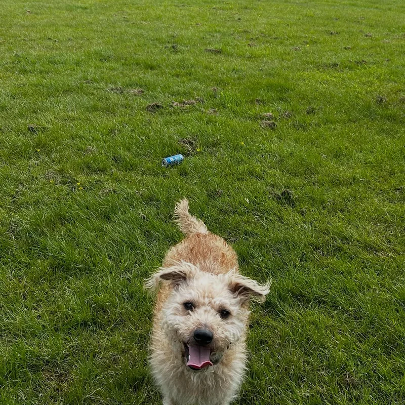 Adventure Time with Arnie at work